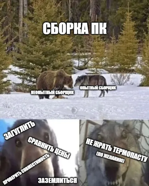 Сборка ПК по-медвежьи