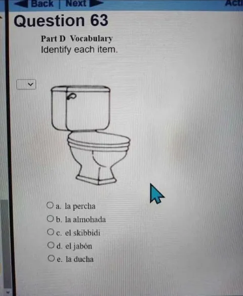 ¿Cuál es el skibidi?