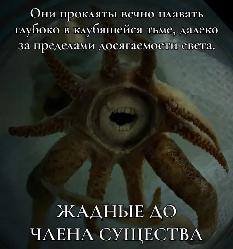 Жадные до члена существа