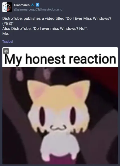 My Honest Reaction Cat