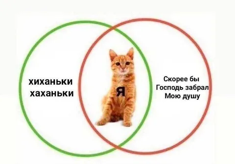 Кот между чиханьем и молитвой