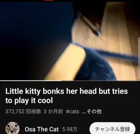 Little Kitty Plays It Cool