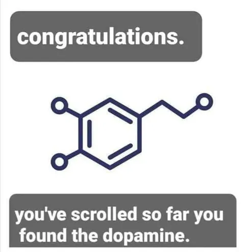 You've Found the Dopamine