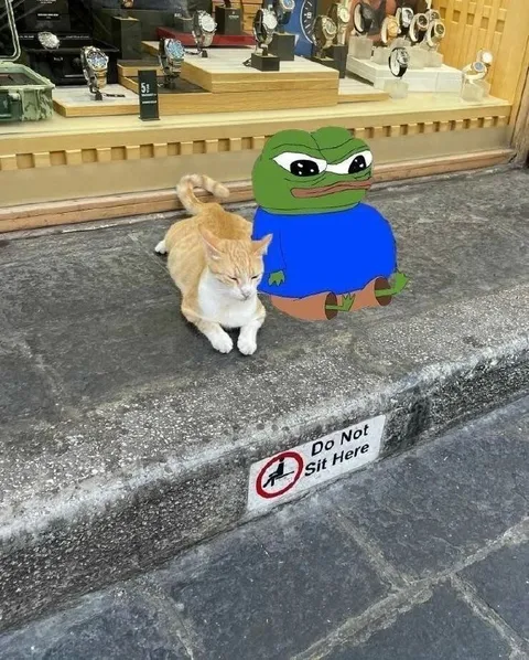 Pepe Sits Where Forbidden