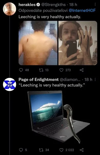 Leeching Is Very Healthy