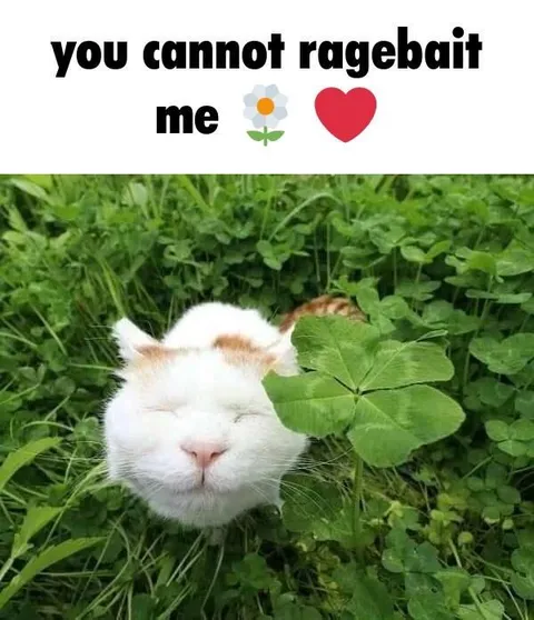 You Cannot Ragebait Me