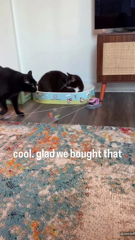 Cool, Glad We Bought That