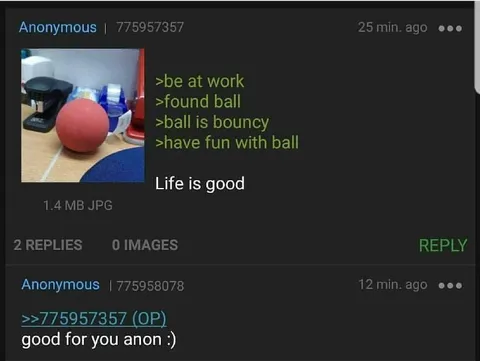 Life Is Good With a Ball