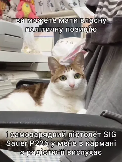 Політична позиція кота