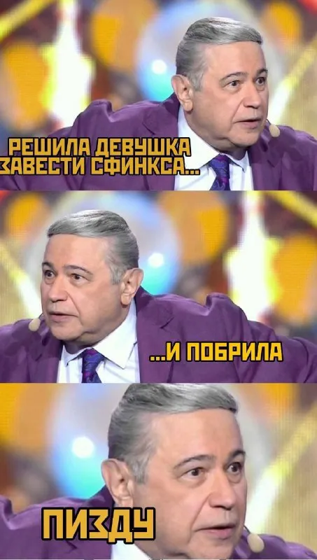 Решила завести сфинкса