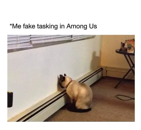Cat Faking an Among Us Task