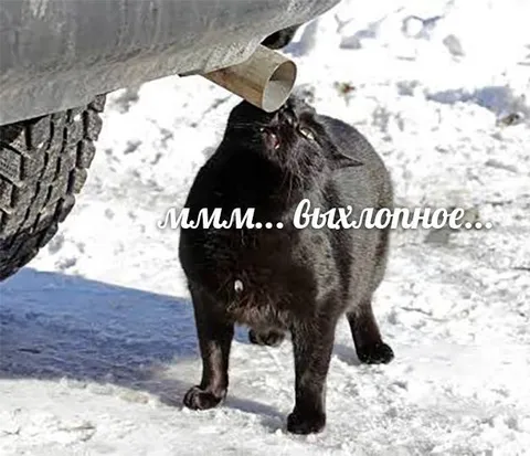 Ммм... выхлопное...