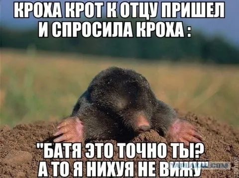 Кроха крот спрашивает отца