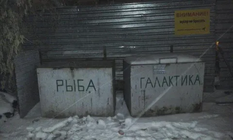 В какой мусор полезете?