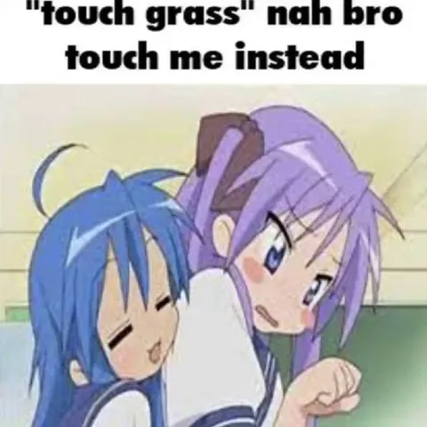 Touch Grass, Touch Me Instead