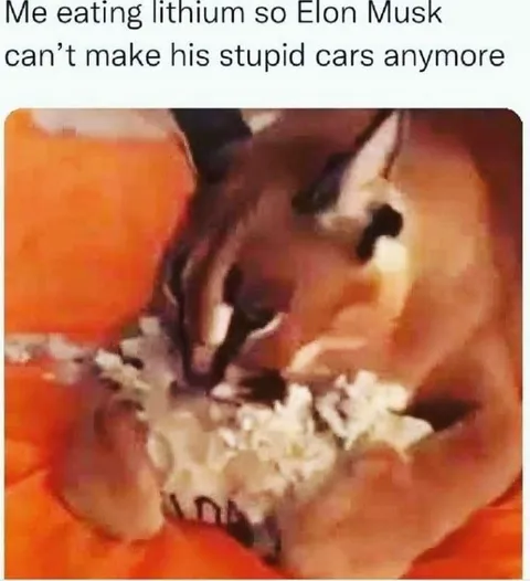 Eating Lithium to Stop Elon Musk