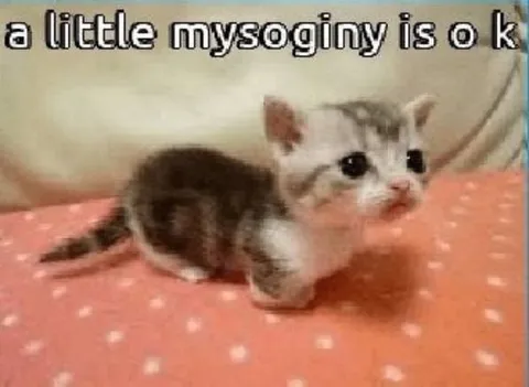 A Little Misogyny Is OK