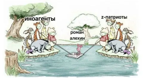 Иноагенты и Z-патриоты тянут Романа Алёхина