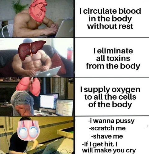 Body Organs Have Complaints