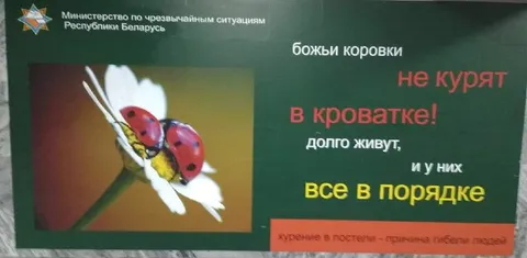 Божьи коровки не курят