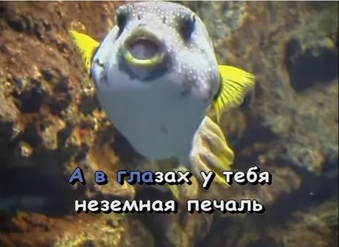 Неземная печаль в глазах