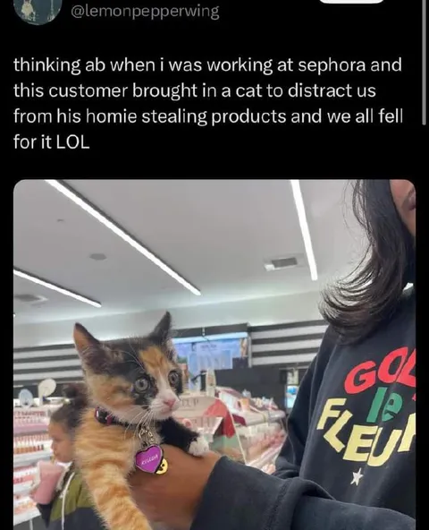 Cat distraction at Sephora
