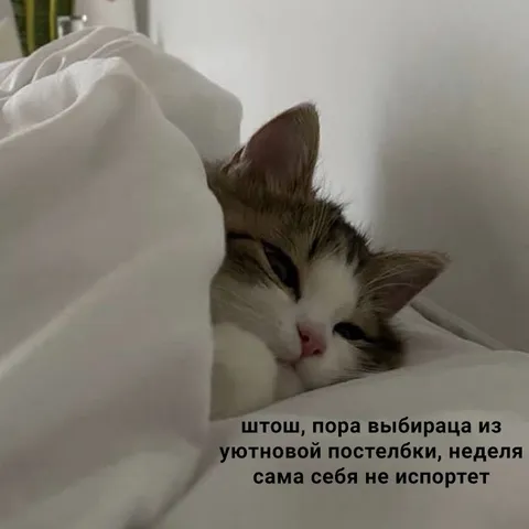 Пора выбираться из постельки