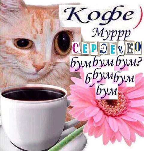 Кофе и мурчащее сердечко