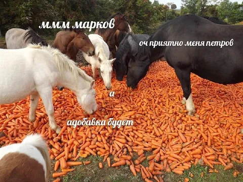 Лошади среди моркови