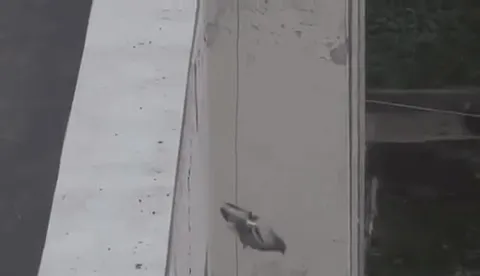 Голубь уходит навсегда