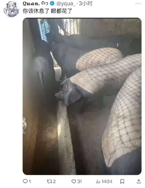 你该休息了，眼都花了
