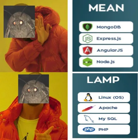 MEAN Stack Versus LAMP Stack