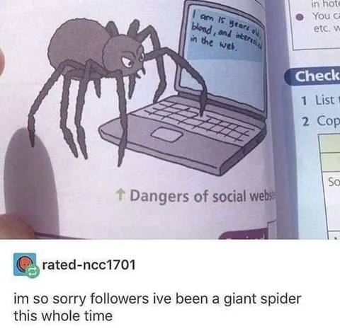 Giant Spider Social Media Confession