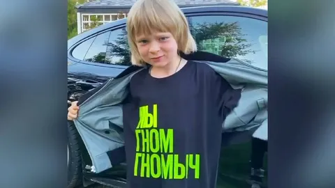 Мы Гном Гномыч