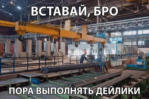 Вставай, бро, пора выполнять дейлики