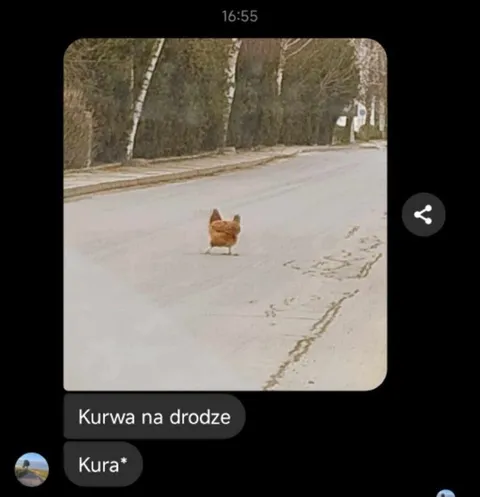Kurwa na drodze
