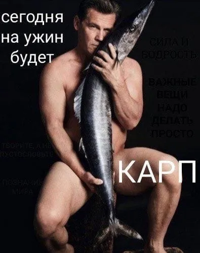 Сегодня на ужин будет карп