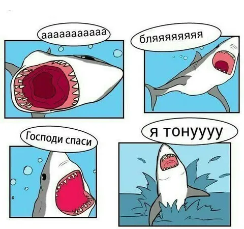 Акула тонет и зовёт на помощь