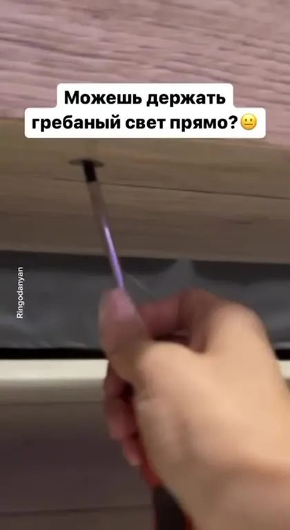 Кот держит гребаный свет