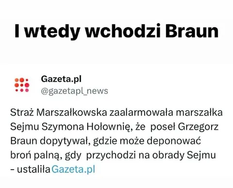 Broń na obrady Sejmu