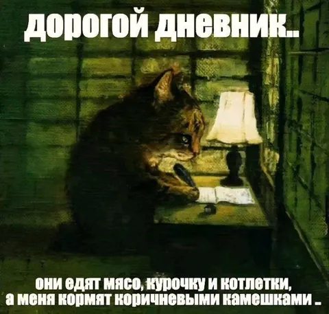 Кот пишет дневник о голоде