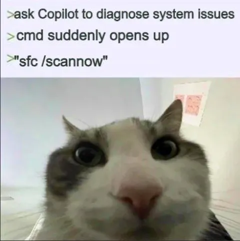 Cat Stares at System Repair