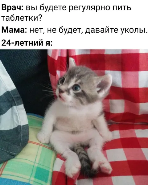 Котёнок вместо таблеток