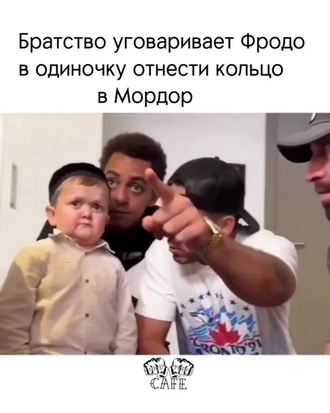 Братство уговаривает Фродо