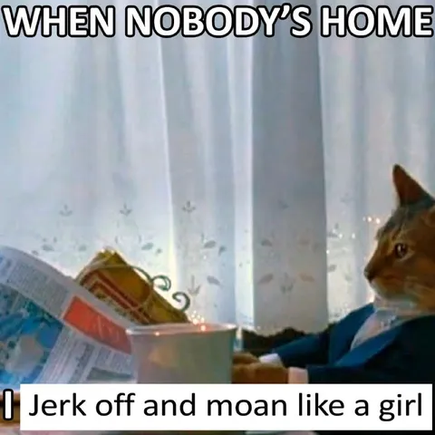 Cat Alone at Home