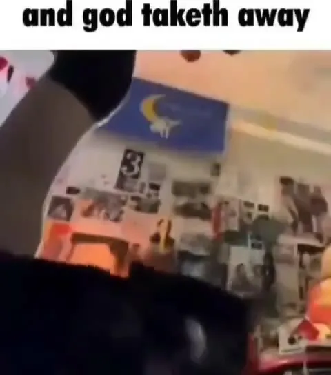 And God Taketh Away Cat