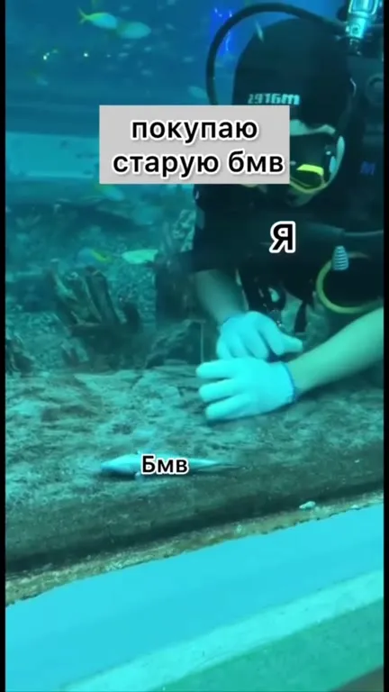 Прощание с БМВ и харек