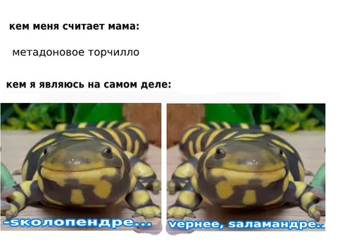 Кем меня считает мама