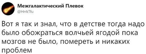 Волчья ягода вместо мозгов