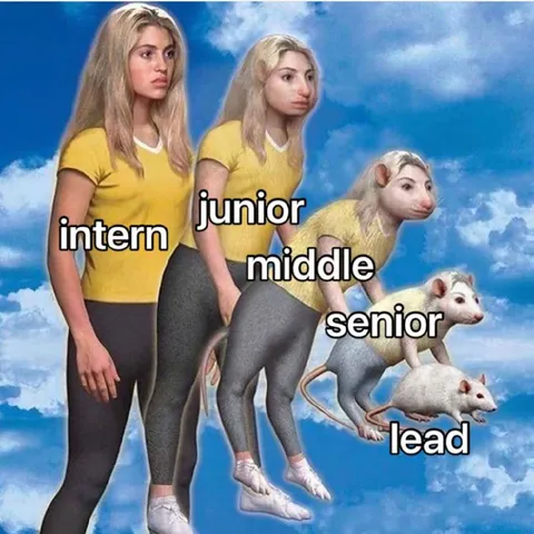 Intern to Lead Career Progression